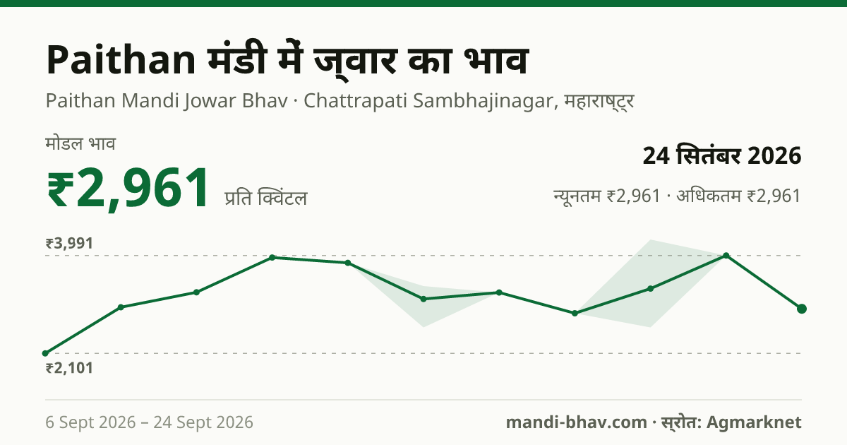 Paithan मंडी में ज्वार का भाव 24 सितंबर 2026: मोडल ₹2,961 प्रति क्विंटल, भाव के रुझान का चार्ट