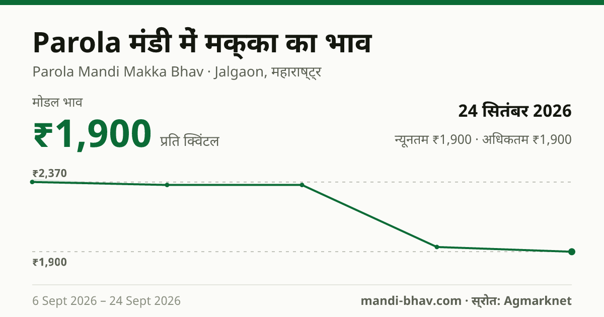Parola मंडी में मक्का का भाव 24 सितंबर 2026: मोडल ₹1,900 प्रति क्विंटल, भाव के रुझान का चार्ट
