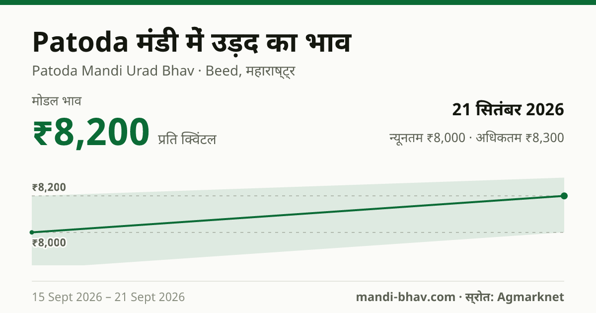 Patoda मंडी में उड़द का भाव 21 सितंबर 2026: मोडल ₹8,200 प्रति क्विंटल, भाव के रुझान का चार्ट