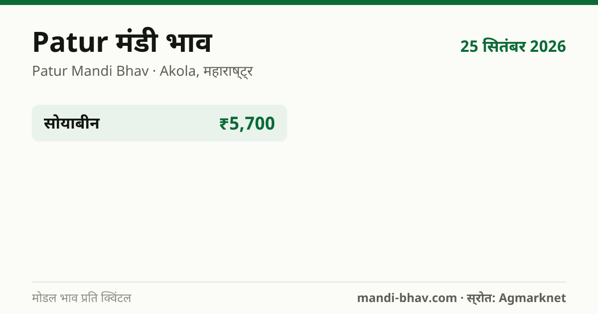 Patur मंडी भाव 25 सितंबर 2026: फसलवार मोडल रेट प्रति क्विंटल