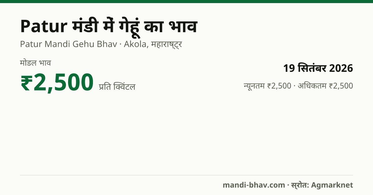 Patur मंडी में गेहूं का भाव 19 सितंबर 2026: मोडल ₹2,500 प्रति क्विंटल, भाव के रुझान का चार्ट