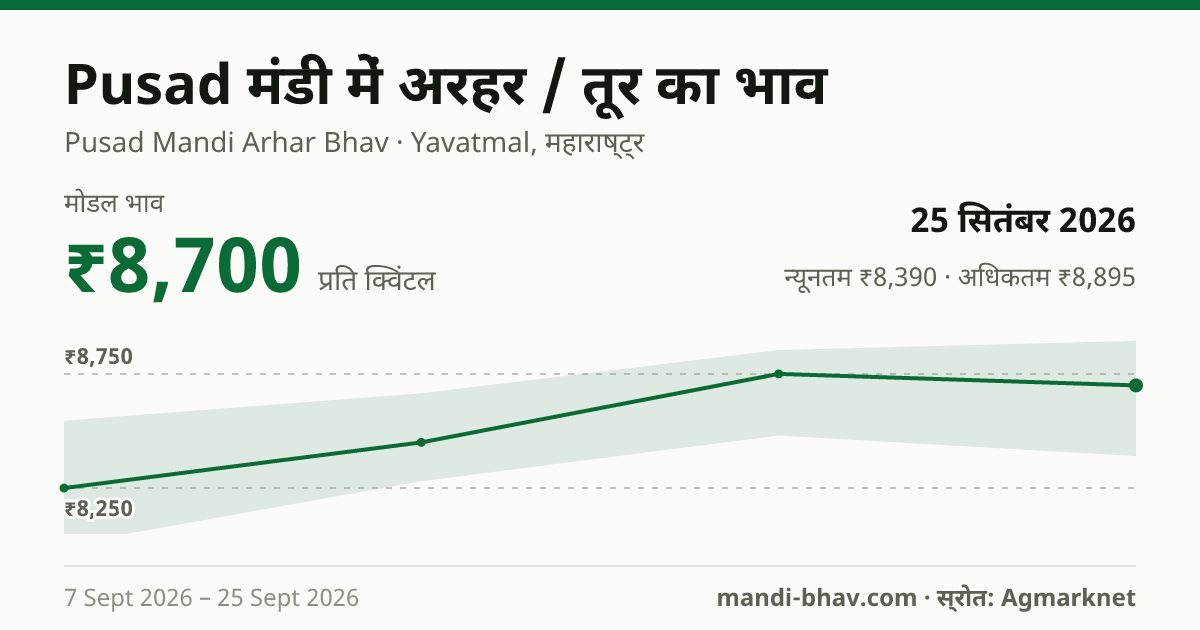 Pusad मंडी में अरहर / तूर का भाव 25 सितंबर 2026: मोडल ₹8,700 प्रति क्विंटल, भाव के रुझान का चार्ट