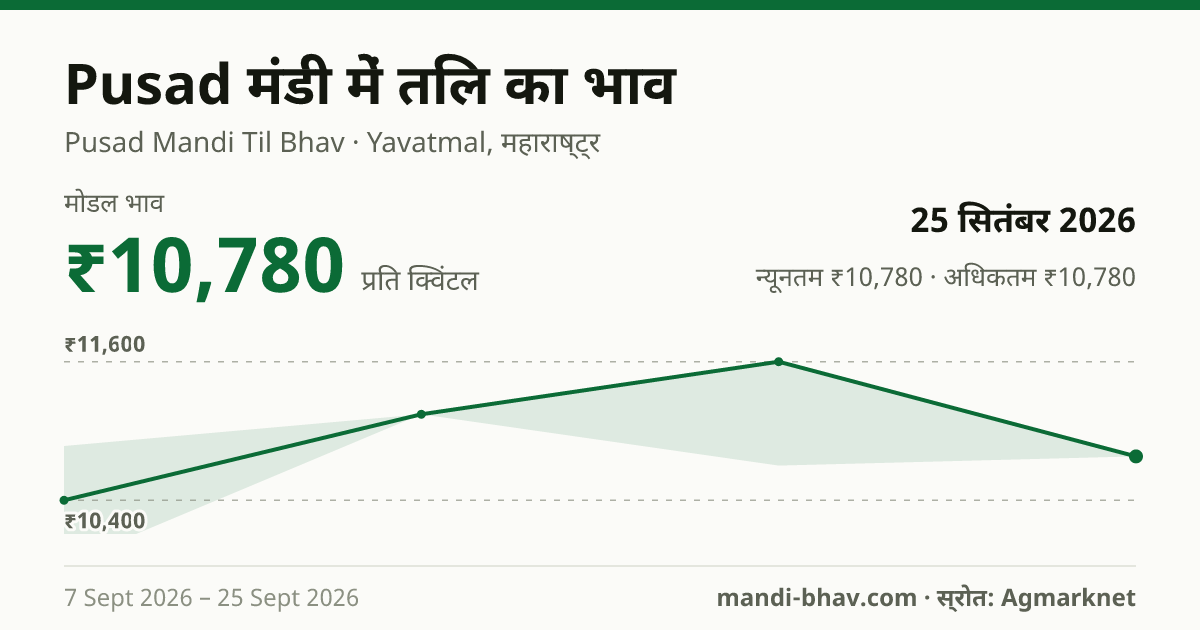 Pusad मंडी में तिल का भाव 25 सितंबर 2026: मोडल ₹10,780 प्रति क्विंटल, भाव के रुझान का चार्ट