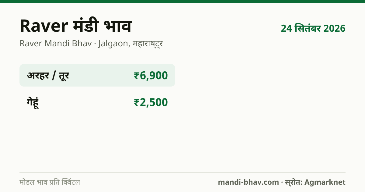 Raver मंडी भाव 24 सितंबर 2026: फसलवार मोडल रेट प्रति क्विंटल