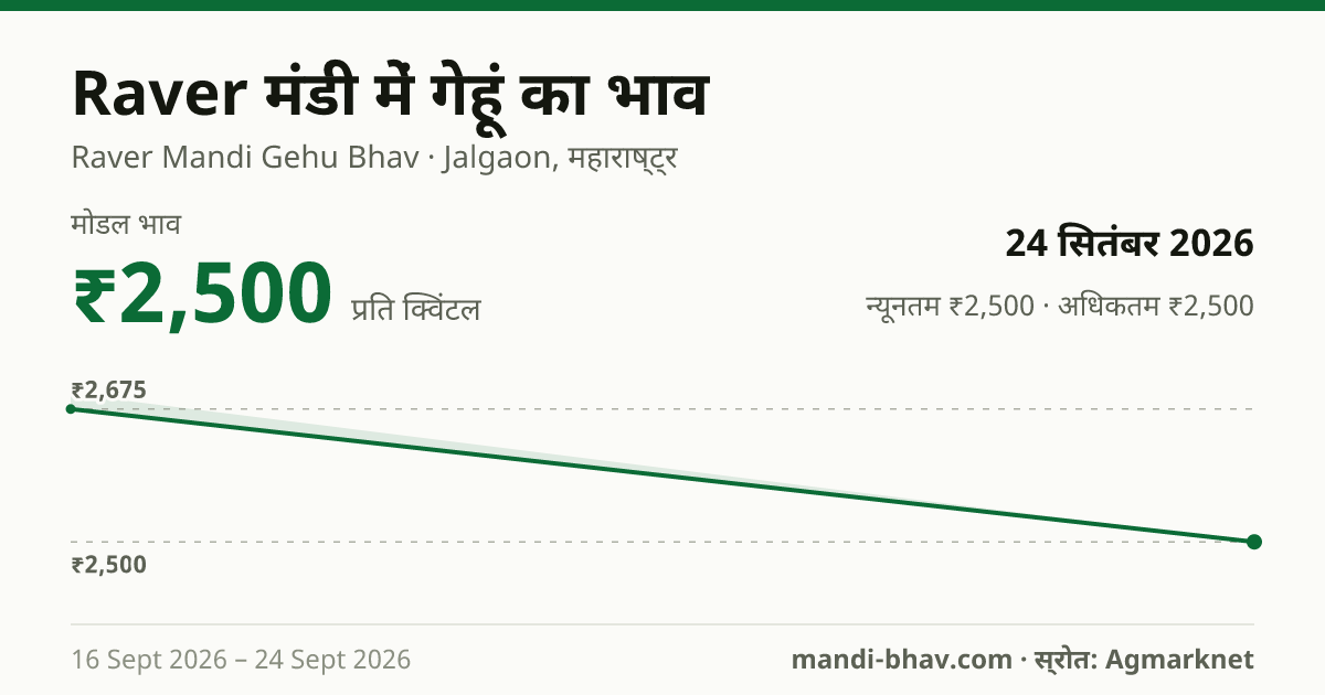 Raver मंडी में गेहूं का भाव 24 सितंबर 2026: मोडल ₹2,500 प्रति क्विंटल, भाव के रुझान का चार्ट
