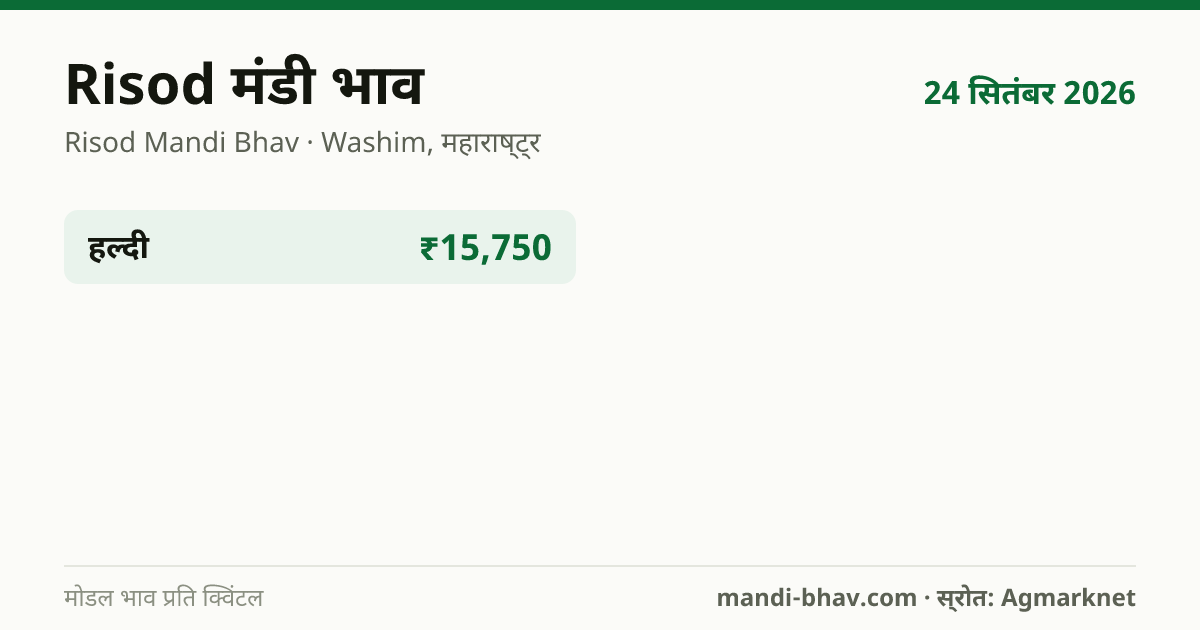 Risod मंडी भाव 24 सितंबर 2026: फसलवार मोडल रेट प्रति क्विंटल