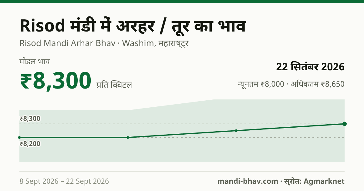Risod मंडी में अरहर / तूर का भाव 22 सितंबर 2026: मोडल ₹8,300 प्रति क्विंटल, भाव के रुझान का चार्ट