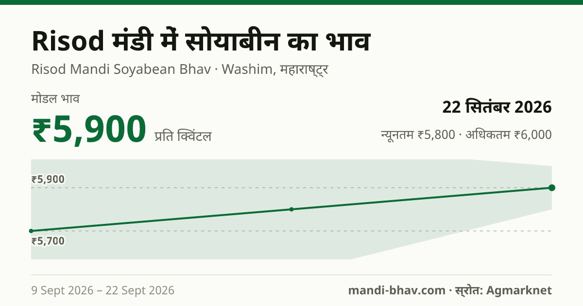 Risod मंडी में सोयाबीन का भाव 22 सितंबर 2026: मोडल ₹5,900 प्रति क्विंटल, भाव के रुझान का चार्ट