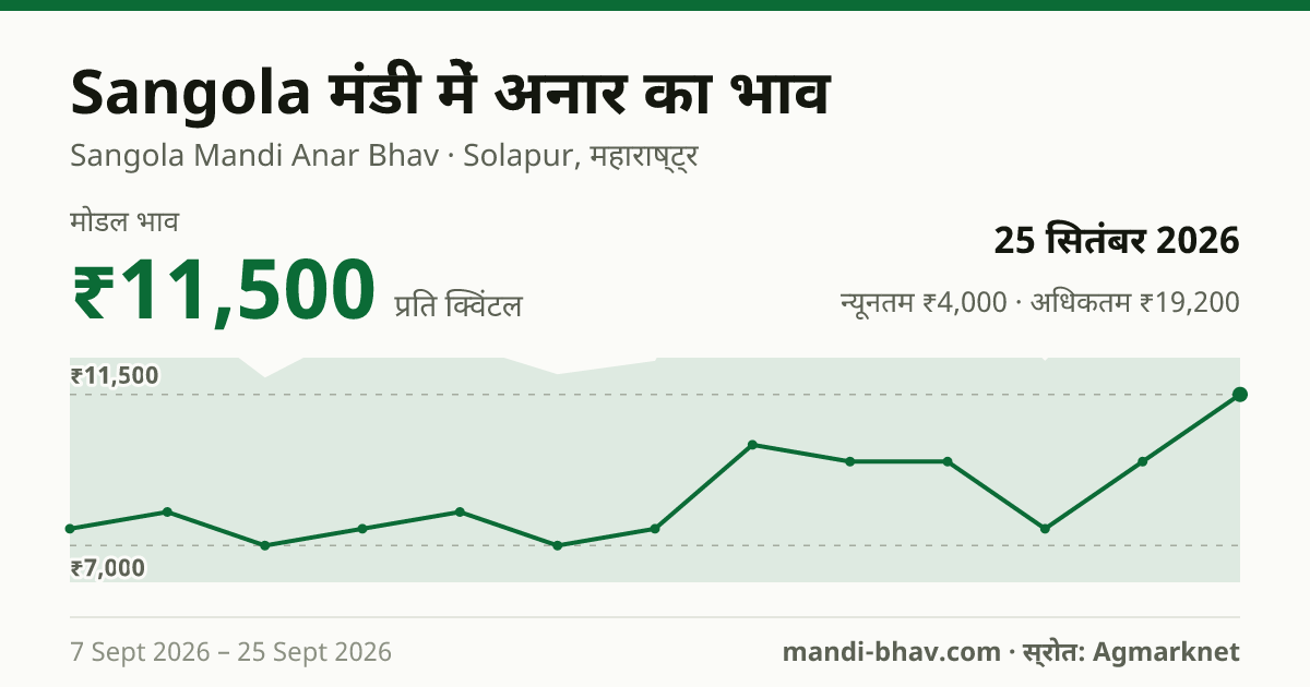 Sangola मंडी में अनार का भाव 25 सितंबर 2026: मोडल ₹11,500 प्रति क्विंटल, भाव के रुझान का चार्ट