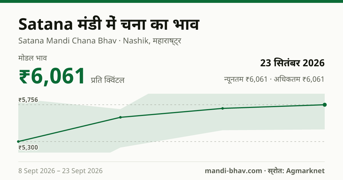 Satana मंडी में चना का भाव 23 सितंबर 2026: मोडल ₹6,061 प्रति क्विंटल, भाव के रुझान का चार्ट