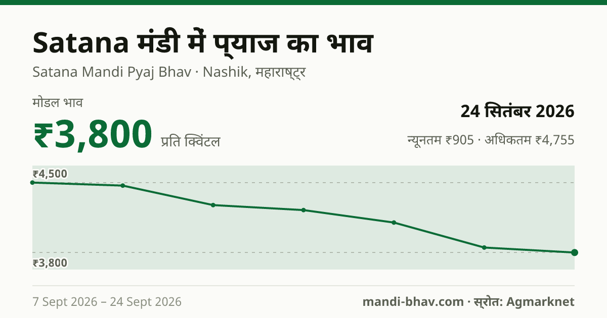 Satana मंडी में प्याज का भाव 24 सितंबर 2026: मोडल ₹3,800 प्रति क्विंटल, भाव के रुझान का चार्ट