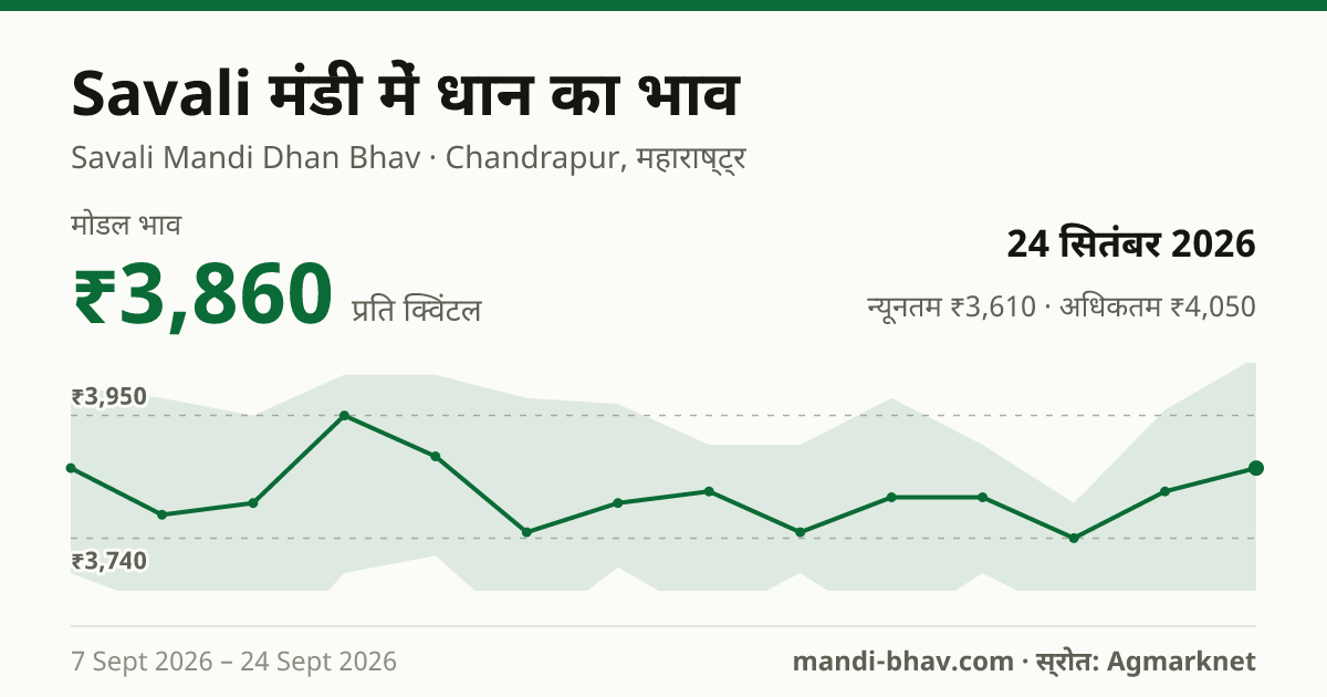 Savali मंडी में धान का भाव 24 सितंबर 2026: मोडल ₹3,860 प्रति क्विंटल, भाव के रुझान का चार्ट