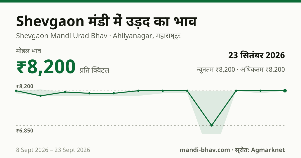 Shevgaon मंडी में उड़द का भाव 23 सितंबर 2026: मोडल ₹8,200 प्रति क्विंटल, भाव के रुझान का चार्ट