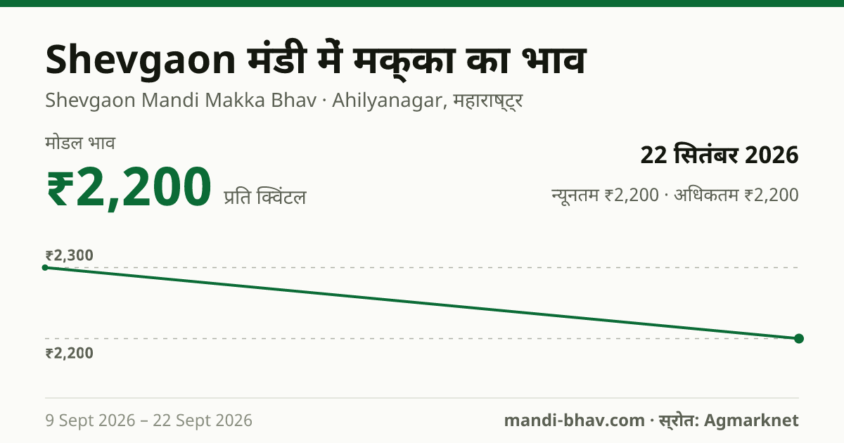 Shevgaon मंडी में मक्का का भाव 22 सितंबर 2026: मोडल ₹2,200 प्रति क्विंटल, भाव के रुझान का चार्ट