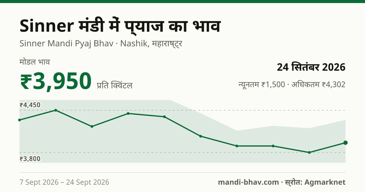 Sinner मंडी में प्याज का भाव 24 सितंबर 2026: मोडल ₹3,950 प्रति क्विंटल, भाव के रुझान का चार्ट