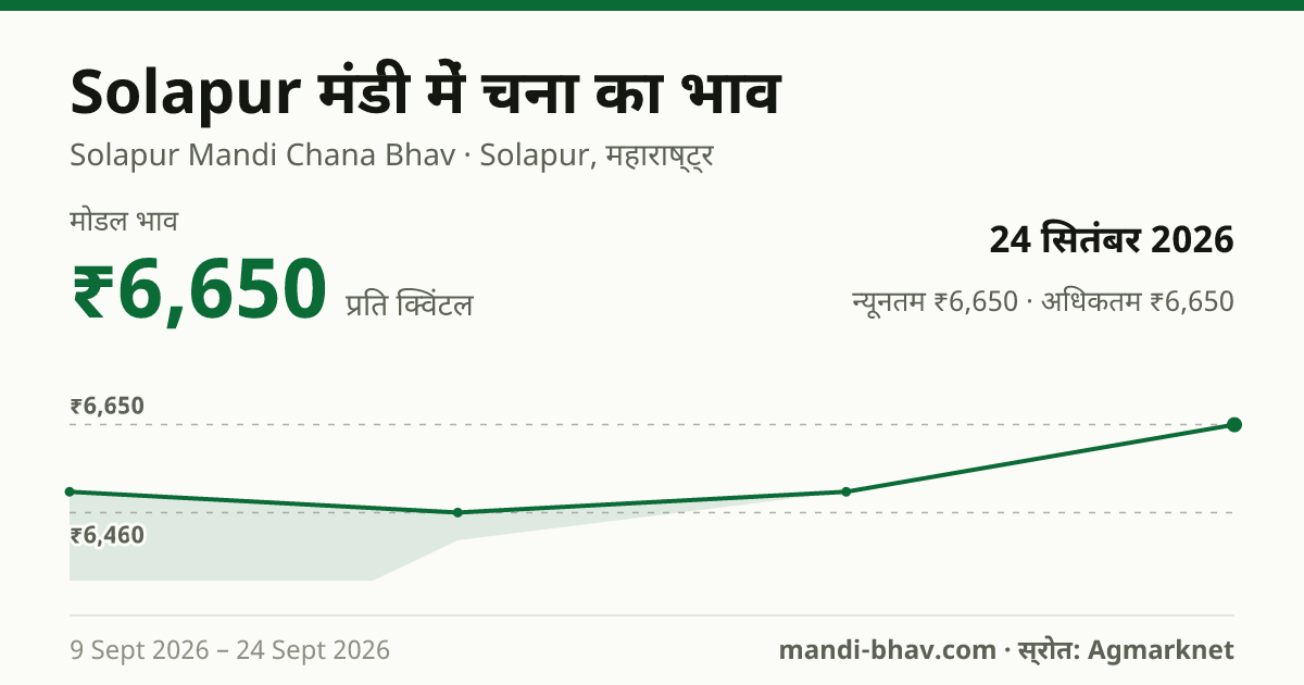 Solapur मंडी में चना का भाव 24 सितंबर 2026: मोडल ₹6,650 प्रति क्विंटल, भाव के रुझान का चार्ट
