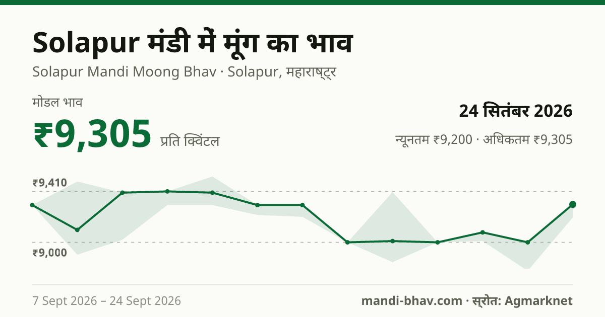 Solapur मंडी में मूंग का भाव 24 सितंबर 2026: मोडल ₹9,305 प्रति क्विंटल, भाव के रुझान का चार्ट