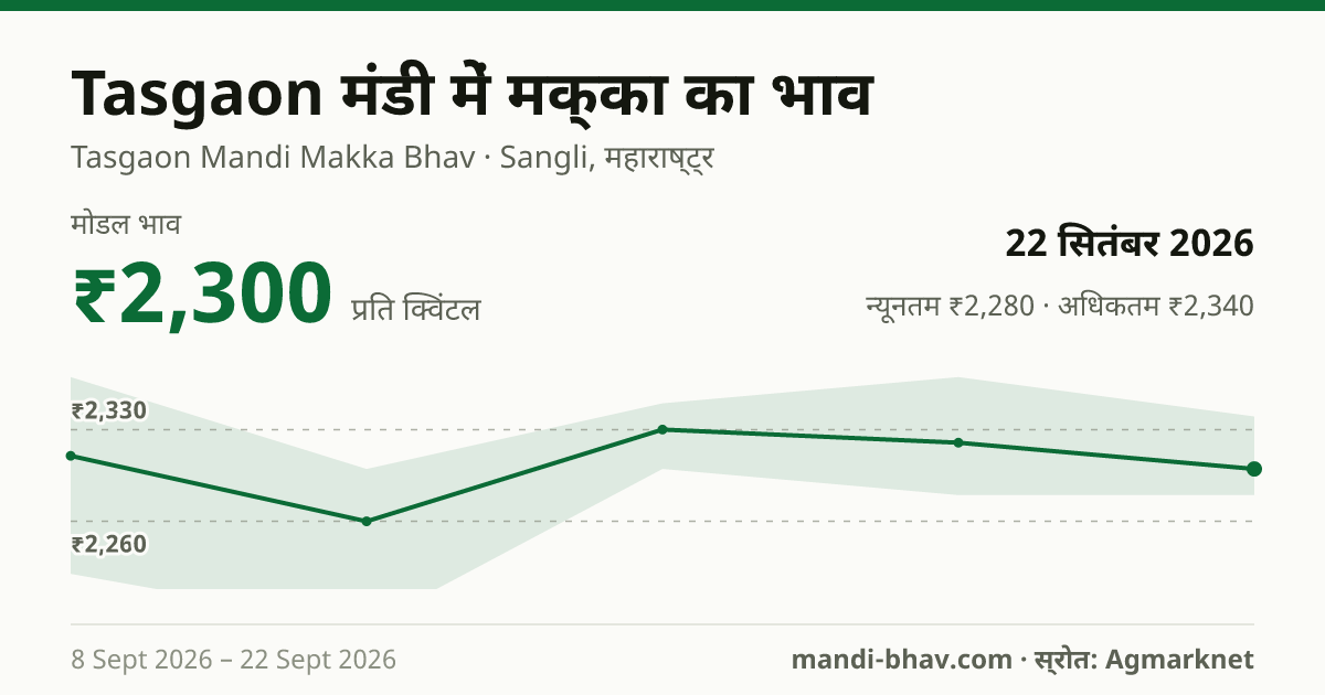 Tasgaon मंडी में मक्का का भाव 22 सितंबर 2026: मोडल ₹2,300 प्रति क्विंटल, भाव के रुझान का चार्ट