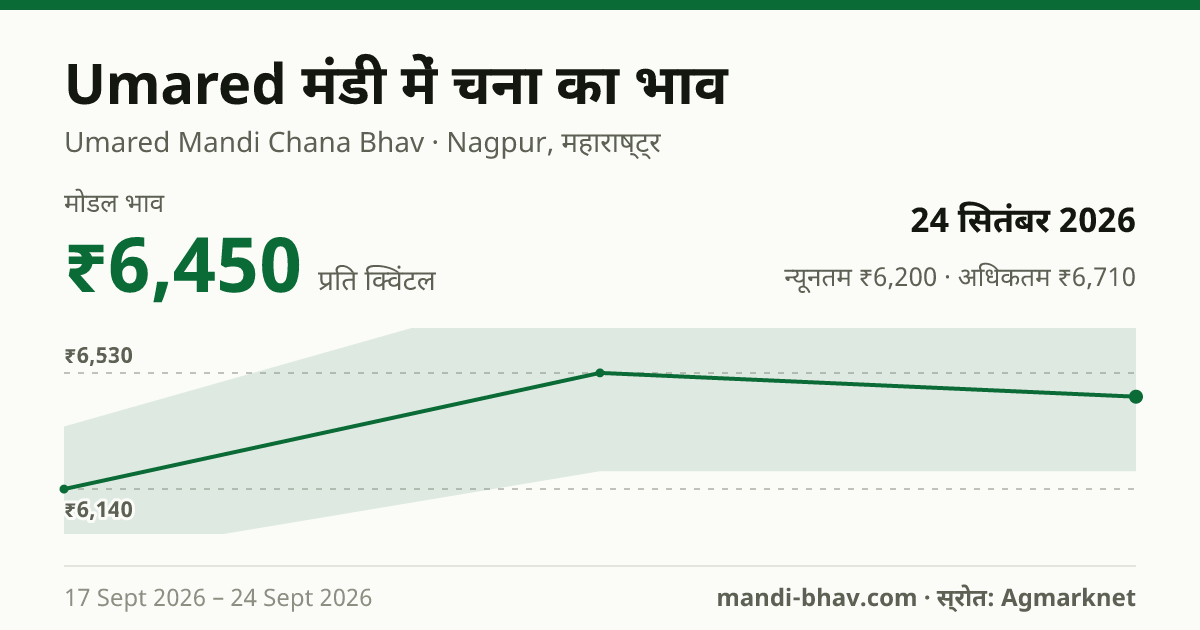 Umared मंडी में चना का भाव 24 सितंबर 2026: मोडल ₹6,450 प्रति क्विंटल, भाव के रुझान का चार्ट
