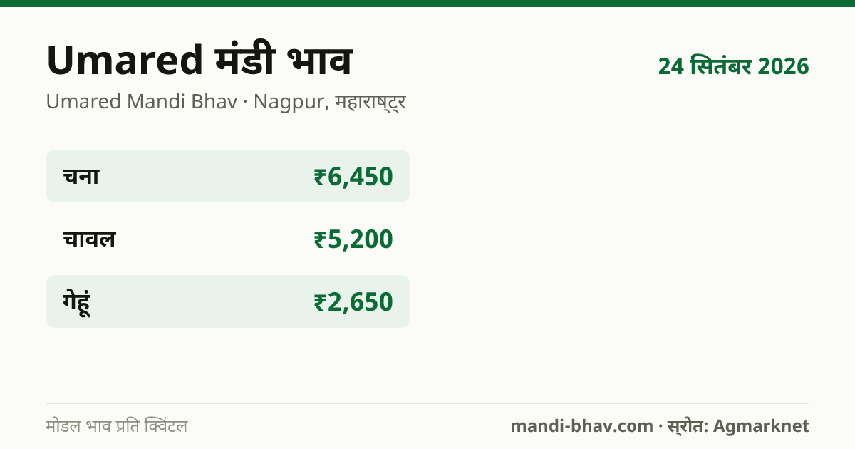 Umared मंडी भाव 24 सितंबर 2026: फसलवार मोडल रेट प्रति क्विंटल