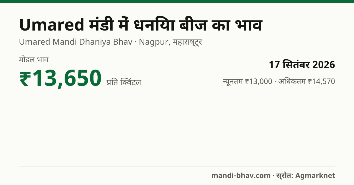 Umared मंडी में धनिया बीज का भाव 17 सितंबर 2026: मोडल ₹13,650 प्रति क्विंटल, भाव के रुझान का चार्ट