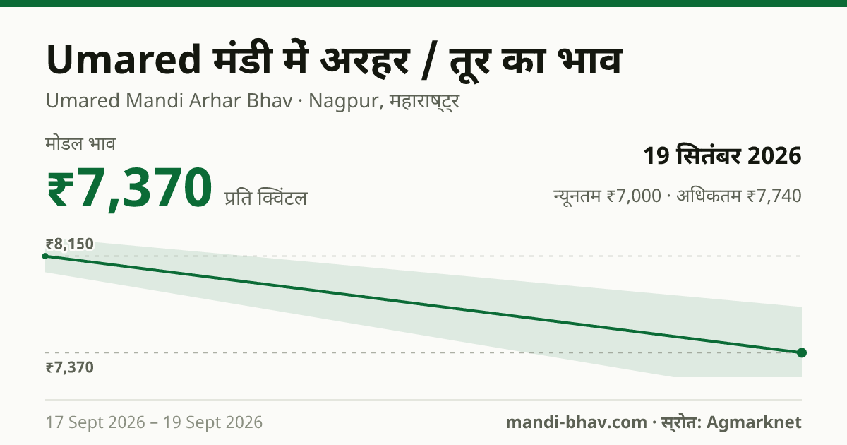 Umared मंडी में अरहर / तूर का भाव 19 सितंबर 2026: मोडल ₹7,370 प्रति क्विंटल, भाव के रुझान का चार्ट