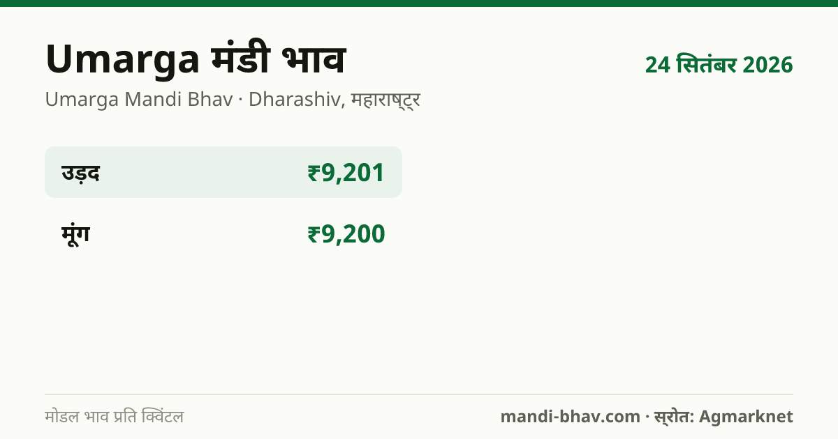 Umarga मंडी भाव 24 सितंबर 2026: फसलवार मोडल रेट प्रति क्विंटल