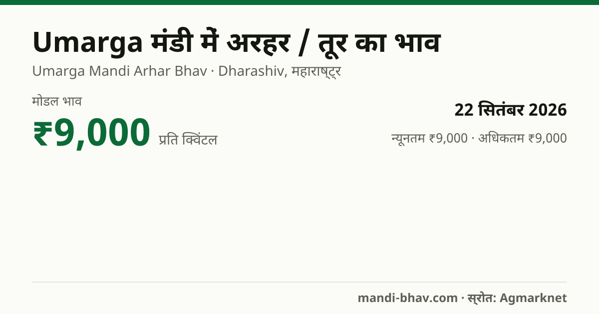 Umarga मंडी में अरहर / तूर का भाव 22 सितंबर 2026: मोडल ₹9,000 प्रति क्विंटल, भाव के रुझान का चार्ट