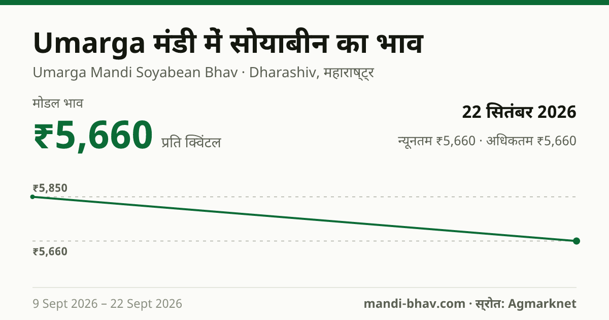 Umarga मंडी में सोयाबीन का भाव 22 सितंबर 2026: मोडल ₹5,660 प्रति क्विंटल, भाव के रुझान का चार्ट