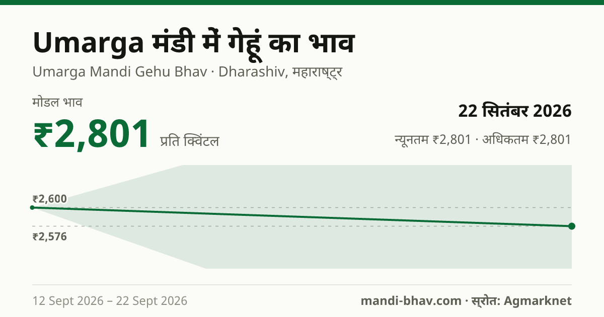 Umarga मंडी में गेहूं का भाव 22 सितंबर 2026: मोडल ₹2,801 प्रति क्विंटल, भाव के रुझान का चार्ट