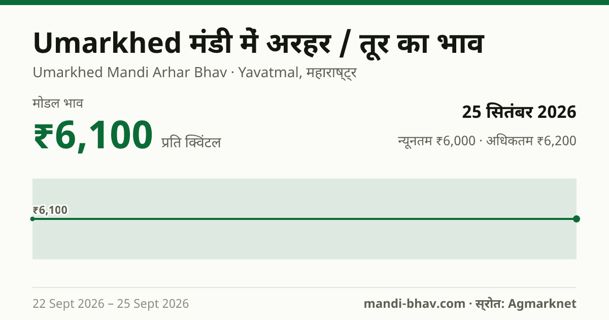 Umarkhed मंडी में अरहर / तूर का भाव 25 सितंबर 2026: मोडल ₹6,100 प्रति क्विंटल, भाव के रुझान का चार्ट