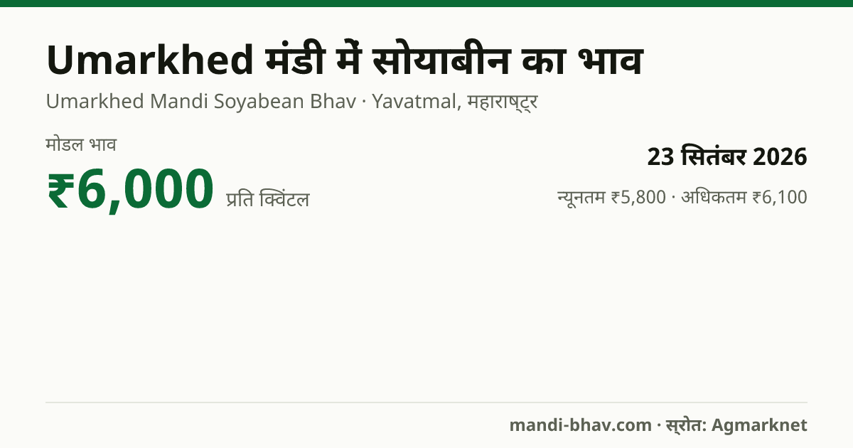 Umarkhed मंडी में सोयाबीन का भाव 23 सितंबर 2026: मोडल ₹6,000 प्रति क्विंटल, भाव के रुझान का चार्ट