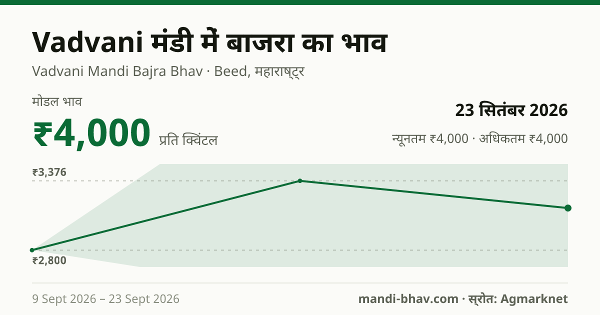 Vadvani मंडी में बाजरा का भाव 23 सितंबर 2026: मोडल ₹4,000 प्रति क्विंटल, भाव के रुझान का चार्ट