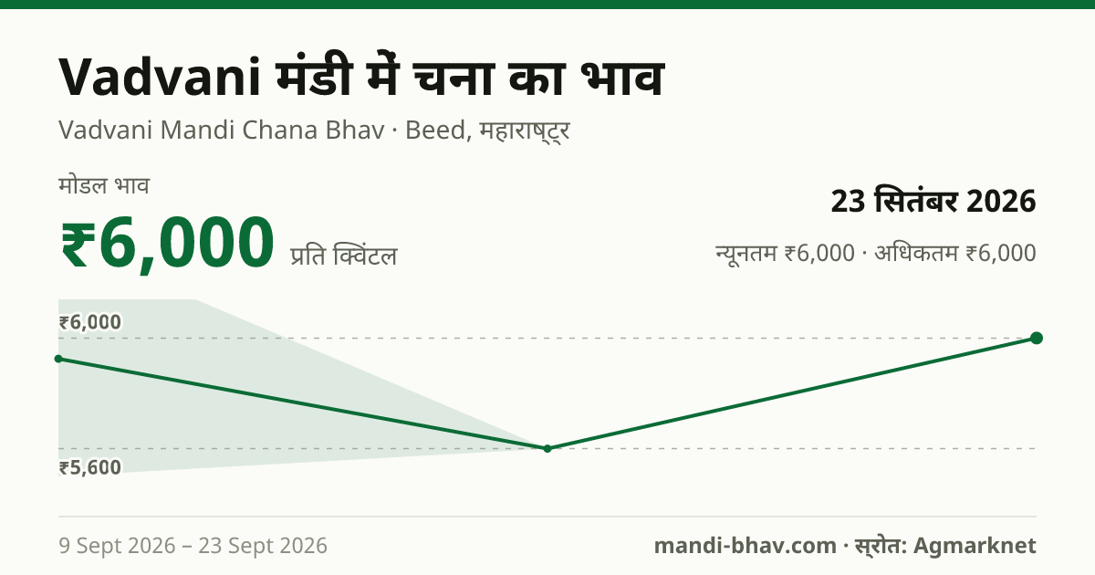 Vadvani मंडी में चना का भाव 23 सितंबर 2026: मोडल ₹6,000 प्रति क्विंटल, भाव के रुझान का चार्ट