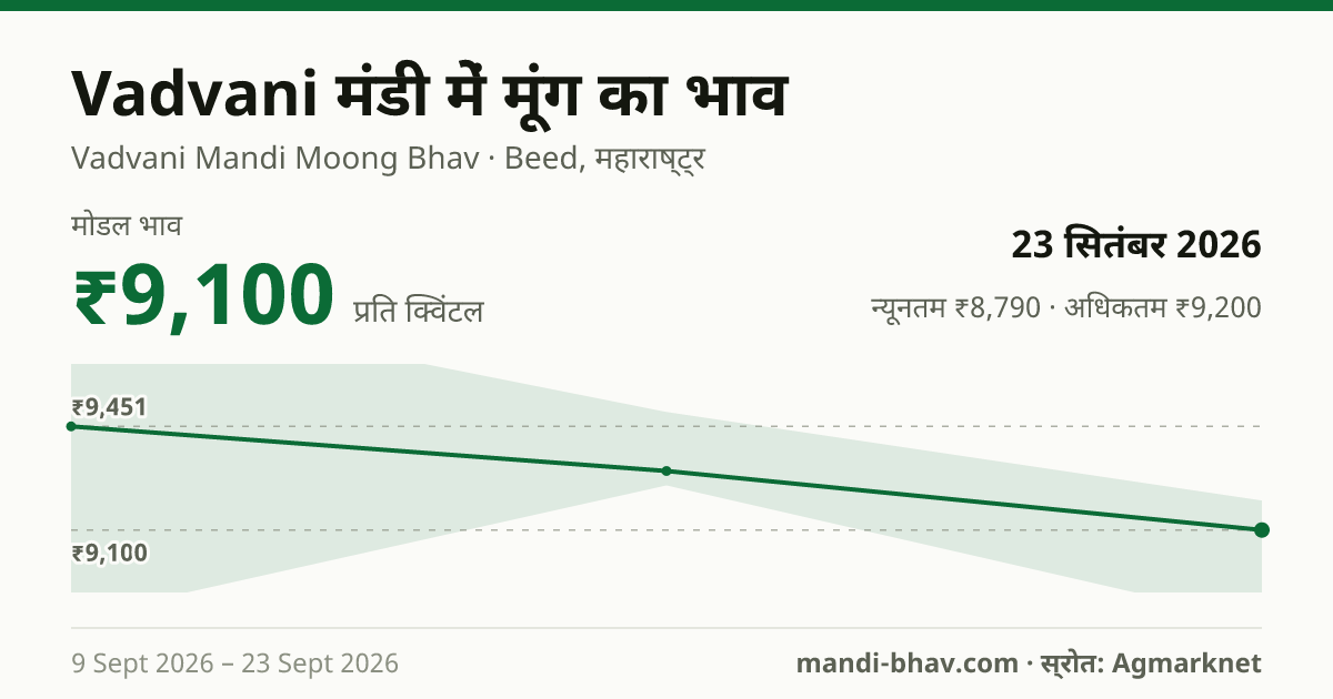 Vadvani मंडी में मूंग का भाव 23 सितंबर 2026: मोडल ₹9,100 प्रति क्विंटल, भाव के रुझान का चार्ट