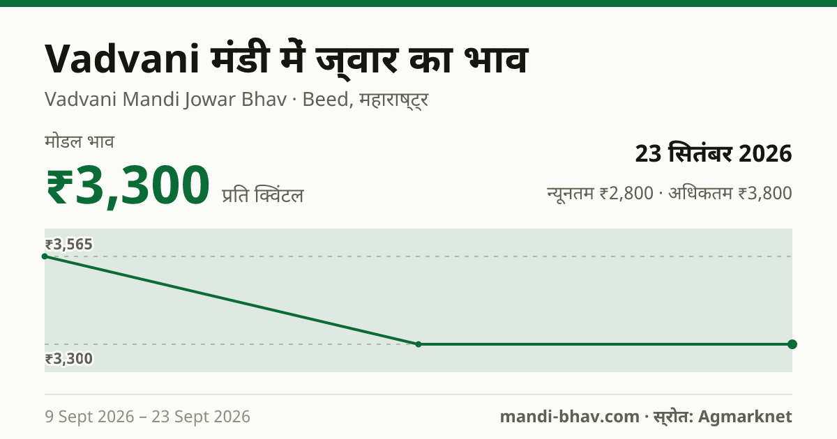 Vadvani मंडी में ज्वार का भाव 23 सितंबर 2026: मोडल ₹3,300 प्रति क्विंटल, भाव के रुझान का चार्ट