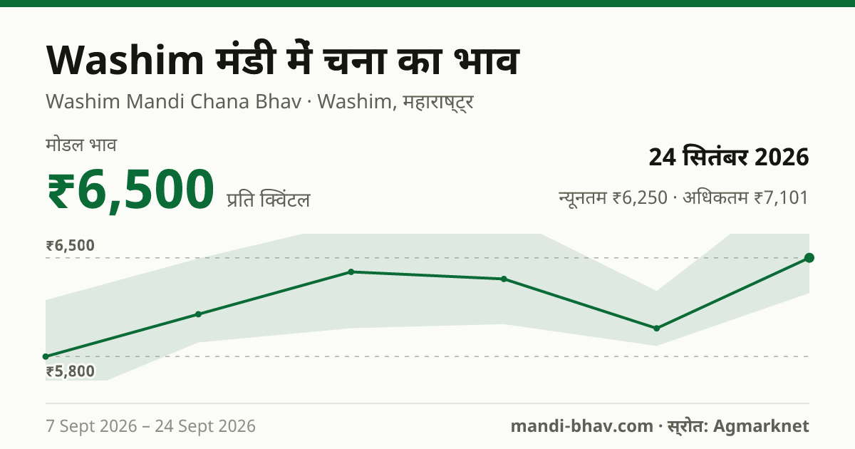 Washim मंडी में चना का भाव 24 सितंबर 2026: मोडल ₹6,500 प्रति क्विंटल, भाव के रुझान का चार्ट