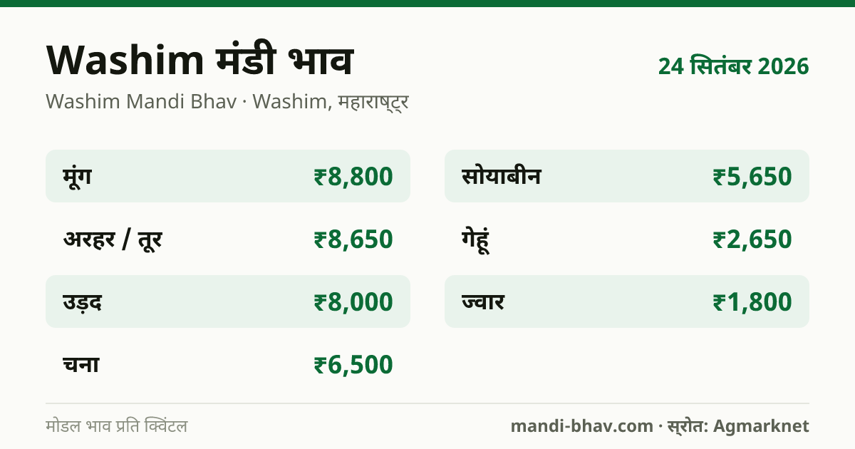 Washim मंडी भाव 24 सितंबर 2026: फसलवार मोडल रेट प्रति क्विंटल