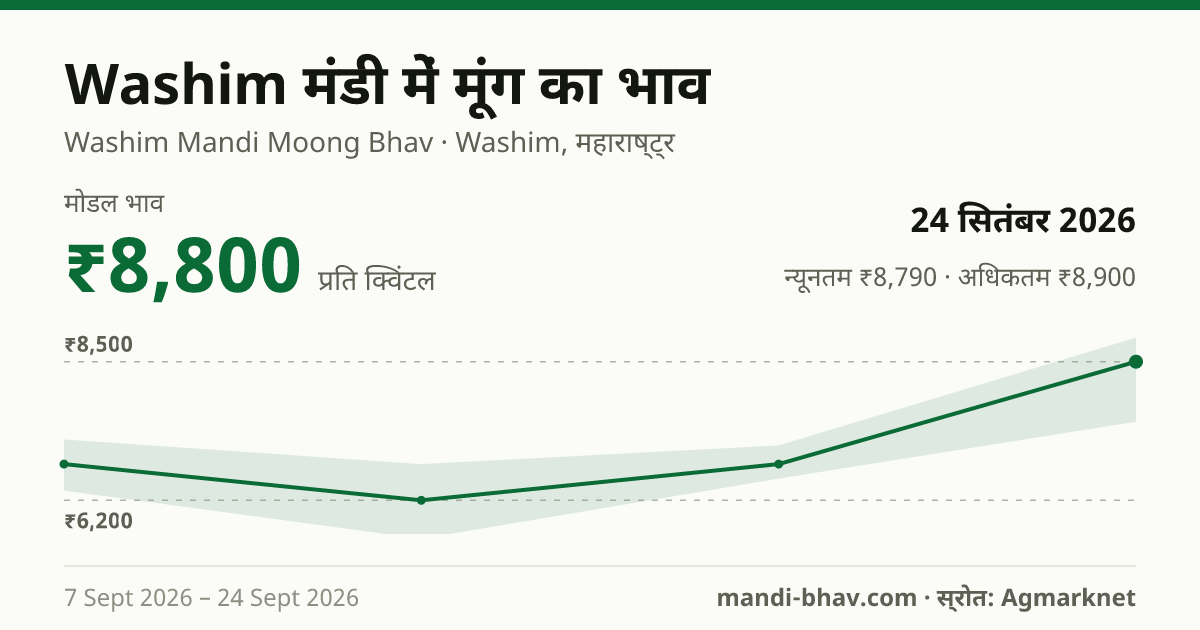 Washim मंडी में मूंग का भाव 24 सितंबर 2026: मोडल ₹8,800 प्रति क्विंटल, भाव के रुझान का चार्ट