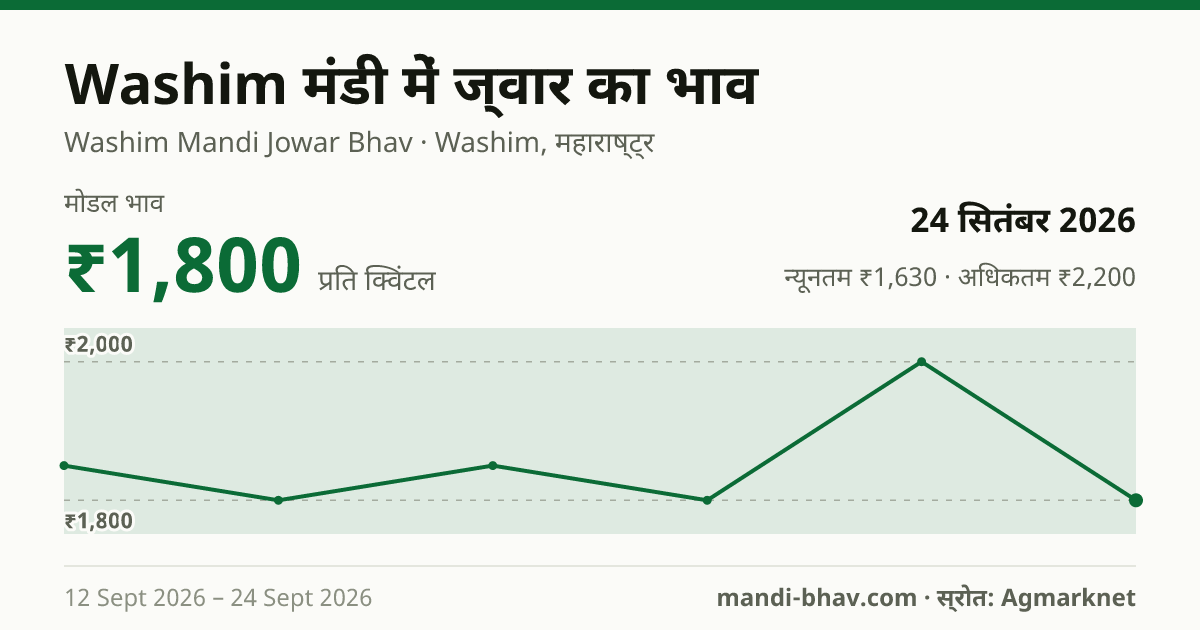 Washim मंडी में ज्वार का भाव 24 सितंबर 2026: मोडल ₹1,800 प्रति क्विंटल, भाव के रुझान का चार्ट