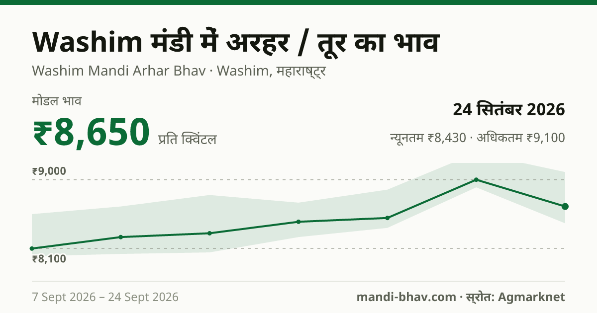 Washim मंडी में अरहर / तूर का भाव 24 सितंबर 2026: मोडल ₹8,650 प्रति क्विंटल, भाव के रुझान का चार्ट