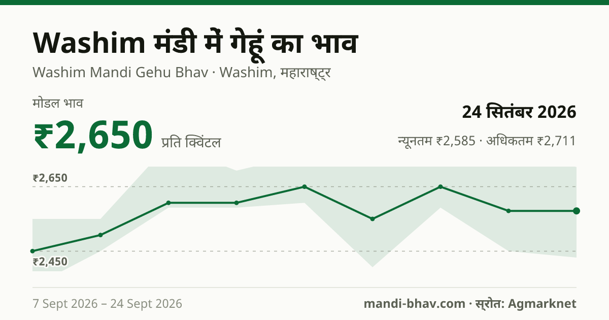 Washim मंडी में गेहूं का भाव 24 सितंबर 2026: मोडल ₹2,650 प्रति क्विंटल, भाव के रुझान का चार्ट