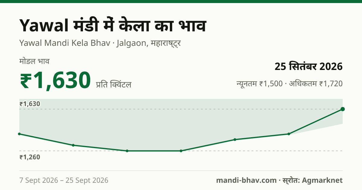 Yawal मंडी में केला का भाव 25 सितंबर 2026: मोडल ₹1,630 प्रति क्विंटल, भाव के रुझान का चार्ट