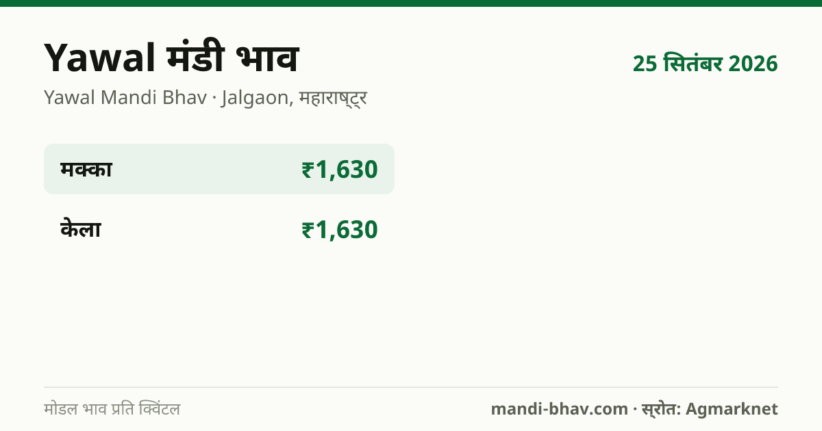 Yawal मंडी भाव 25 सितंबर 2026: फसलवार मोडल रेट प्रति क्विंटल