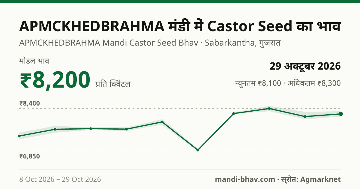 APMCKHEDBRAHMA मंडी में Castor Seed का भाव 29 अक्टूबर 2026: मोडल ₹8,200 प्रति क्विंटल, भाव के रुझान का चार्ट