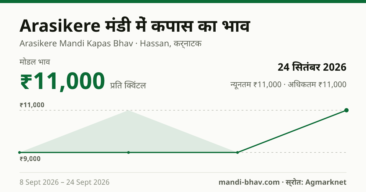 Arasikere मंडी में कपास का भाव 24 सितंबर 2026: मोडल ₹11,000 प्रति क्विंटल, भाव के रुझान का चार्ट