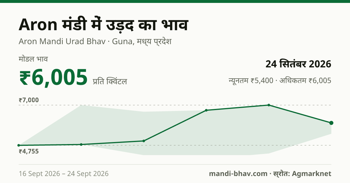 Aron मंडी में उड़द का भाव 24 सितंबर 2026: मोडल ₹6,005 प्रति क्विंटल, भाव के रुझान का चार्ट