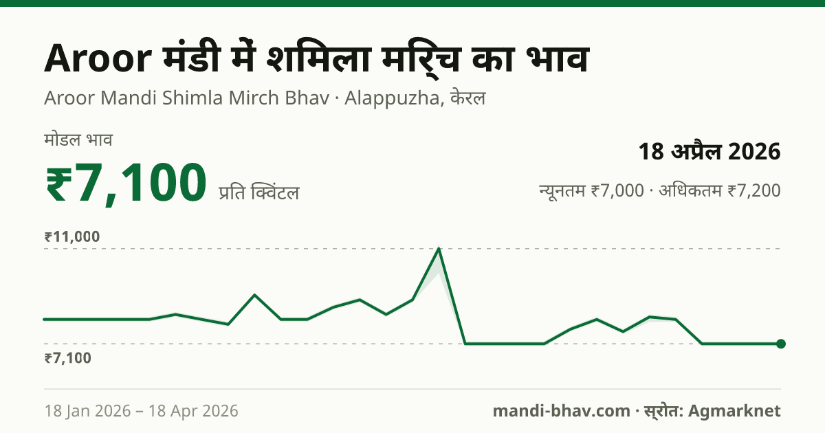 Aroor मंडी में शिमला मिर्च का भाव 18 अप्रैल 2026: मोडल ₹7,100 प्रति क्विंटल, भाव के रुझान का चार्ट