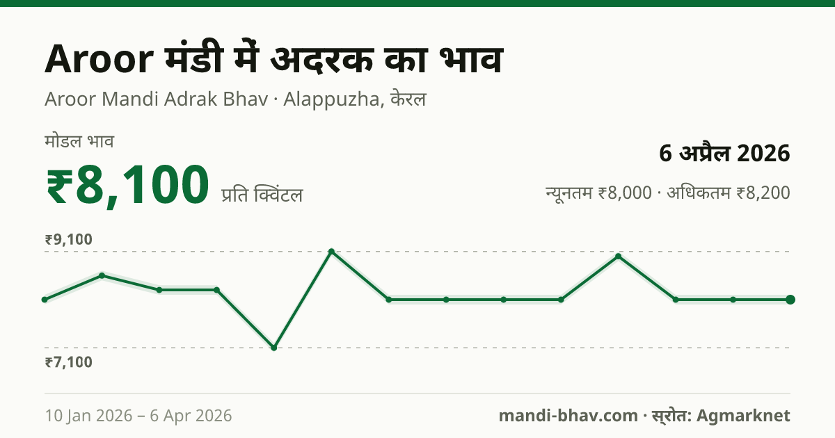 Aroor मंडी में अदरक का भाव 6 अप्रैल 2026: मोडल ₹8,100 प्रति क्विंटल, भाव के रुझान का चार्ट