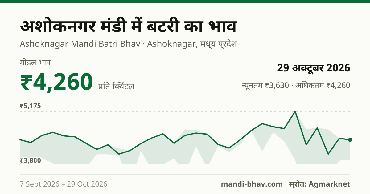 अशोकनगर मंडी में Buttery का भाव 29 अक्टूबर 2026: मोडल ₹4,260 प्रति क्विंटल, भाव के रुझान का चार्ट